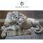 The most beautiful& best quality china live lion sculpture