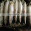 Frozen Whole Round Mackerel Size 200-300g/pcs for Sale