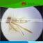 Fixed 91 kinds basic gcse binocular microscope slides with fitted plastic box
