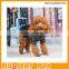 Dog Pet Products, Dog Apparel