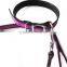 High quality easy pet training collar/pet dog collar