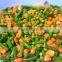 Frozen vegetables (Peas, green beans, okra, molokhia, carrot, sweet corn, mixed)