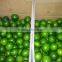 Fresh green seedless lime