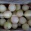 Loose Package peeled Onion