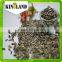 sunflower baby seeds for sale for export chinese seeds sunflower