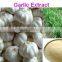 GMP Certified Manufacturer Supply Natural Garlic Extract