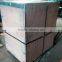 Commercial vegetable / fruit sloar drying machine