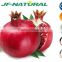 pomegranate extract pomegranate seed extract with US GMP, KOSHER, HALAL, ISO, HACCP
