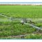 Garden/farm Water savingsystem plastic Material micro spray irrigation drip hose PE layflat hose