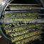Blueberry Vacuum Freeze Drying Machine