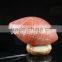 Pot Shape Salt Lamp