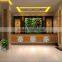 stair wall decorative plants wall