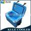 2016 cheap promotion insulated PE cooler box for sales