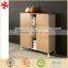 Wooden Office File Cabinet with Door
