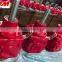 Agricultural grain transportation gearbox