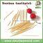 Two point bamboo toothpick