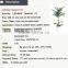 Artificial indoor bonsai tree bamboo tree ficus houseplants for hall decoration