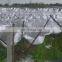 Mono wire protecting apple tree anti-hail net