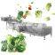 Exclusive offer fruit and vegetable salad mango water bubble washing machine fruit citrus washer