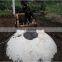 Household Biogas Digester System Small Scale Home Methane Digester Biogas System