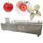 Automatic Apple Core Coring Pitting Kernel Remover Slicer Machine