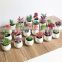 Top Fashion China Wholesale Small Size Artificial Plants With White Pot Gifts Potted Succulents For Desk Decoration
