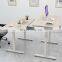 Custom OEM Popular Height Tech Table Standing Electric Adjustable Height Desk Frame Wholesale