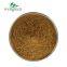 FREE SAMPLE Wellnature Supply Chinese Herbal Extract Solanum Nigrum Estratto Powder Black Nightshade Extract