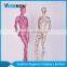 high quality full body abstract female mannequin