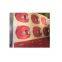 Prime Quality Tin Plate with Color Printing ETP Printed Sheets