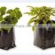 Poly growing bags for indoor garden use