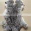 Wholesale Rex Rabbit Skin Plate