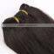 100% Remy Indian Human Hair
