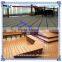 AC Foaming Agent AC-110