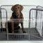 large square heavy duty pet dog playpen