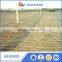High Tensile Strength PP HDPE Plastic Uniaxial Geogrid