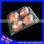QS certificate luxurious dry apple fruit trays