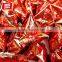 Yake jujube wedding gummy candy