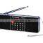 Dual channel portable speaker with fm radio