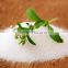 Stevia Erythritol Mixture Powder for healthy food