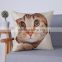 Cat Pattern Ddigital Printing Linen Cotton Sofa Car Home Decor Throw Pillow Cases Cushion Covers