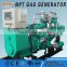 ISO CE approved 10-500kW LPG power generation plants