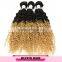 High quality 100% natural indian human hair price list,wholesale indian hair in india