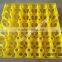 plastic egg tray with holes 30pcs with good material (Lydia: 008615965977837)