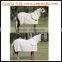 Waterproof Breathable Horse Turnout Rugs