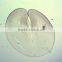 biological slides chick embryo prepared slides