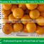 Fresh Chinese mandarin oranges for sell