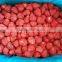 Egyptian frozen strawberry (festival and camarosa)