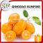 Preserved dried kumquat green color