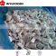 supply baby oyster mushroom Frozen iqf in China market